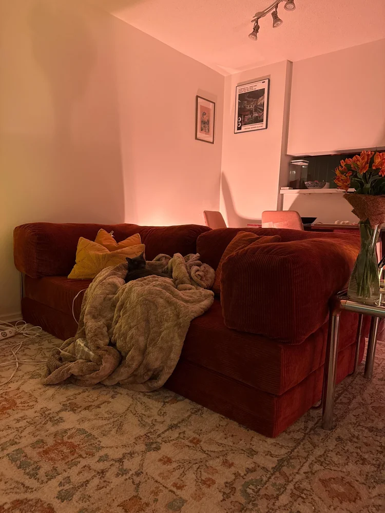 Диван Teddy | Базовый Минимум Слим в интерьере покупателя, фото 68